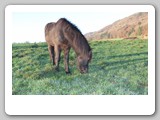 winterweide_web_14_001