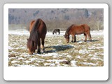 winterweide_web_14_118