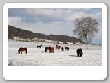 Winter 15 16 (184)
