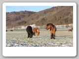 Winter 15 16 (193)