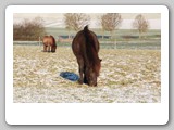 Winter 15 16 (201)